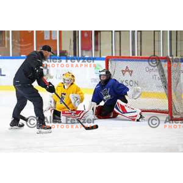 Anze Ulcar at AK Summer Hockey Academy in Bled Ice Hall, Slovenia on June 30 , 2020