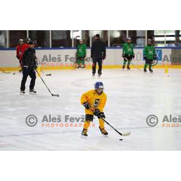 AK Summer Hockey Academy in Bled Ice Hall, Slovenia on June 30 , 2020