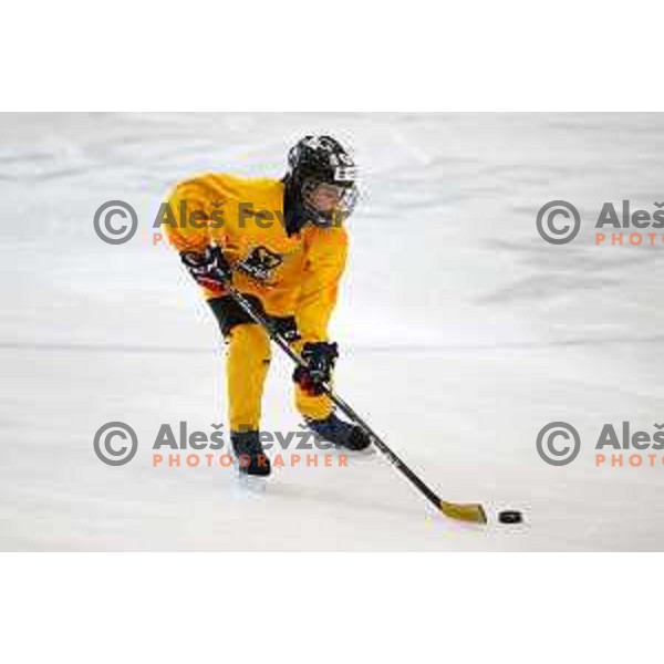 AK Summer Hockey Academy in Bled Ice Hall, Slovenia on June 30 , 2020