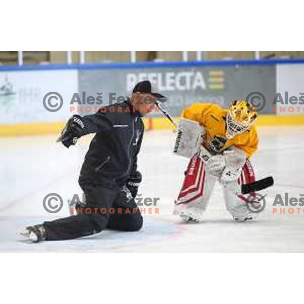 Anze Ulcar at AK Summer Hockey Academy in Bled Ice Hall, Slovenia on June 30 , 2020