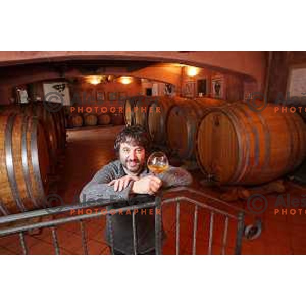 Winemaker Aleks Klinec in his wine cellar in Medana village, Goriska Brda, Slovenia on December 9, 2013. He is prime example of Slovenian orange wine producers