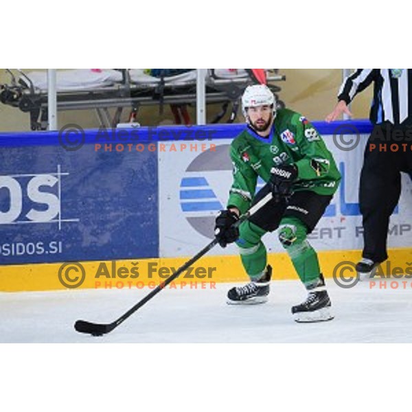 In action during ice-hockey match between SZ Olimpija and Slovenia National team in Bled Ice Hall, Slovenia on September 10, 2020