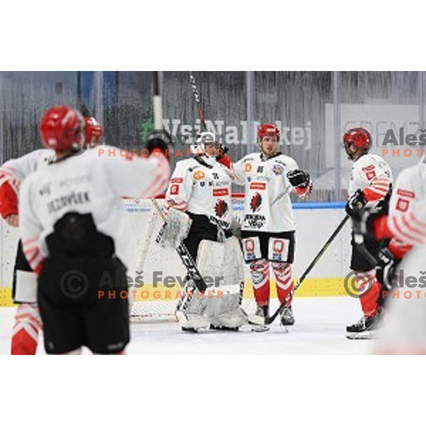 in action during Slovenian Cup Final ice-hockey match between SIJ Acroni Jesenice and MK Bled in Ljubljana, Slovenia on September 19, 2020