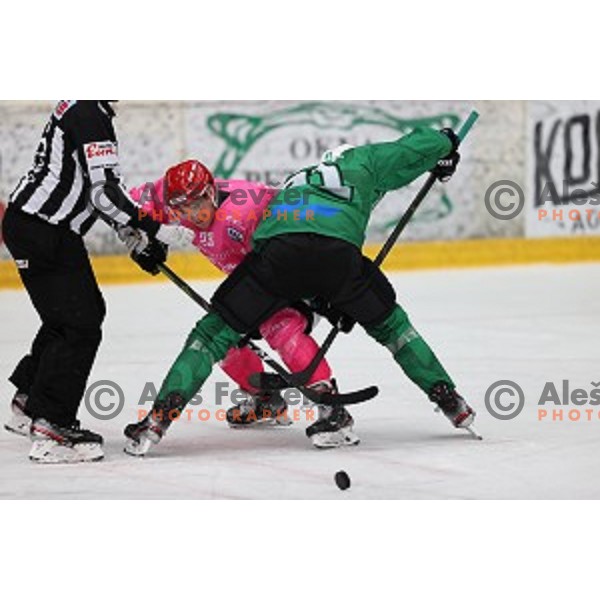 Jaka Sodja during Alps league ice-hockey match between Acroni Jesenice and SZ Olimpija in Podmezakla Hall, Jesenice, Slovenia on October 8, 2020