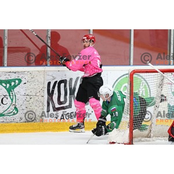 Zan Jezovsek during Alps league ice-hockey match between Acroni Jesenice and SZ Olimpija in Podmezakla Hall, Jesenice, Slovenia on October 8, 2020