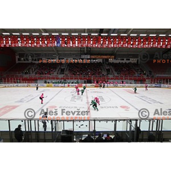 during Alps league ice-hockey match between Acroni Jesenice and SZ Olimpija in Podmezakla Hall, Jesenice, Slovenia on October 8, 2020