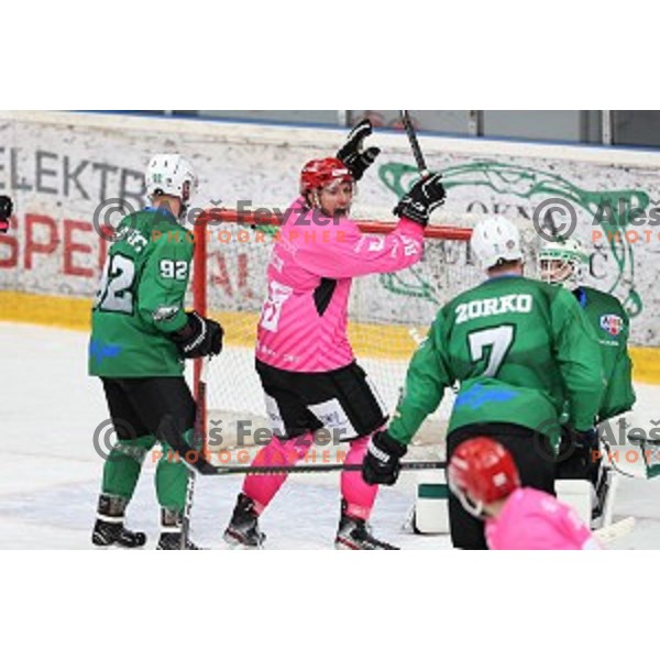 during Alps league ice-hockey match between Acroni Jesenice and SZ Olimpija in Podmezakla Hall, Jesenice, Slovenia on October 8, 2020