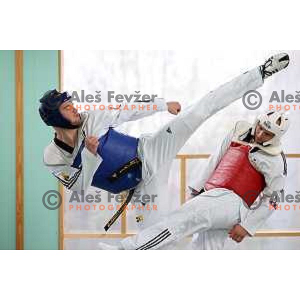 Ivan Konrad Trajkovic, member of Slovenia Taekwondo team during practice session in Ljubljana, Slovenia on November 17, 2020