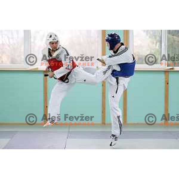 Jure Pantar, member of Slovenia Taekwondo team during practice session in Ljubljana, Slovenia on November 17, 2020