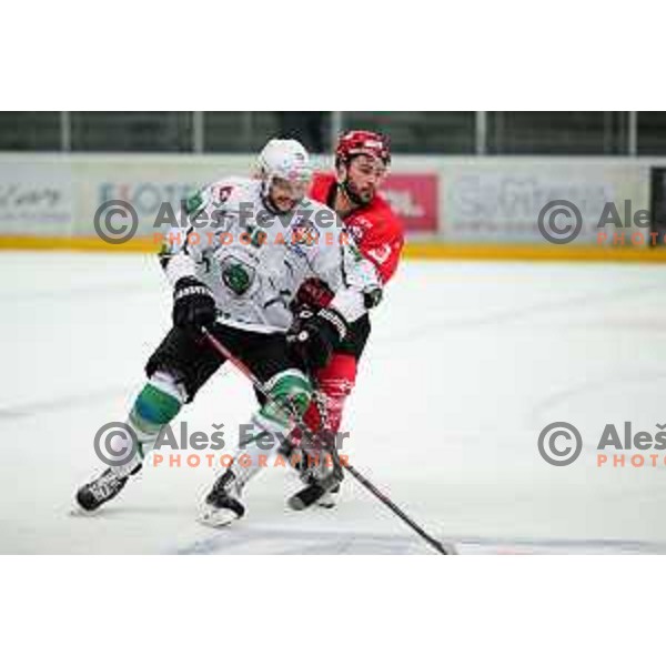 Gal Koren and Zan Jezovsek in action during Slovenian league ice-hockey match between SIJ Acroni Jesenice and SZ Olimpija in Jesenice, Slovenia on January 2, 2021