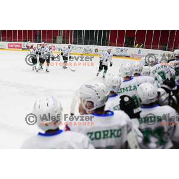 In action during Slovenian league ice-hockey match between SIJ Acroni Jesenice and SZ Olimpija in Jesenice, Slovenia on January 2, 2021