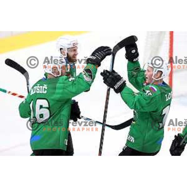 Ales Music and Miha Logar of SZ Olimpija in action during Alps League ice-hockey match between SZ Olimpija and Bregenzerwald in Ljubljana, Slovenia on January 9, 2021