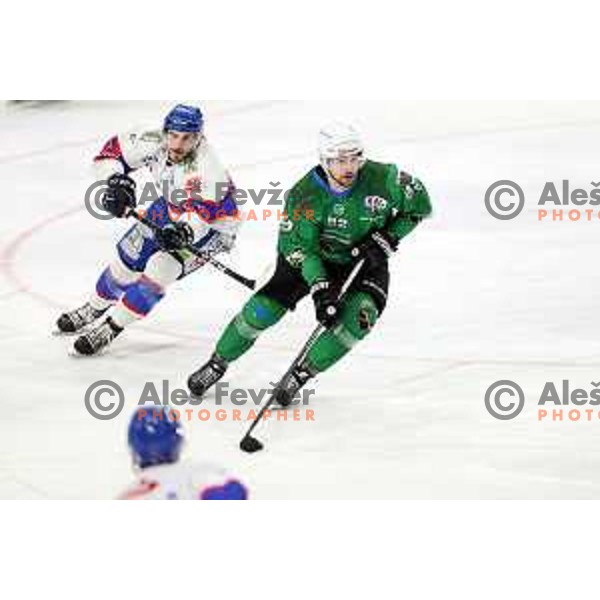 Aleksandar Magovac of SZ Olimpija in action during Alps League ice-hockey match between SZ Olimpija and Fassa Falcons in Tivoli Hall, Ljubljana, Slovenia on February 16, 2021