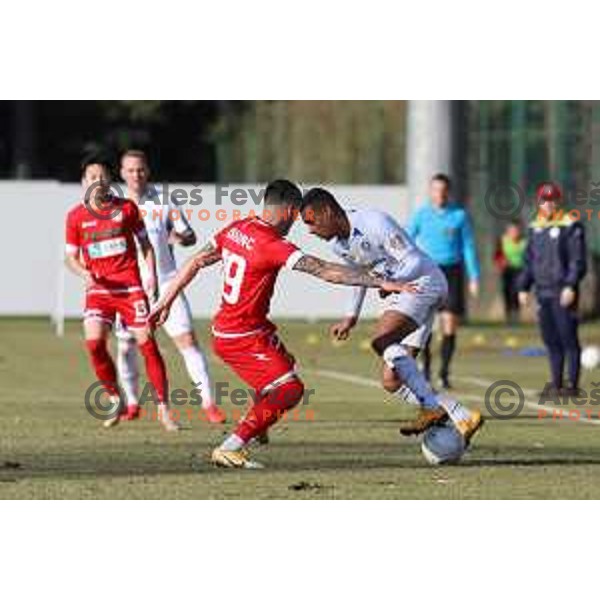 Alen Kranjc and Bradley Martis in action during Prva Liga Telekom Slovenije 2020-2021 football match between Aluminij and Celje in Kidricevo on February 17, 2021