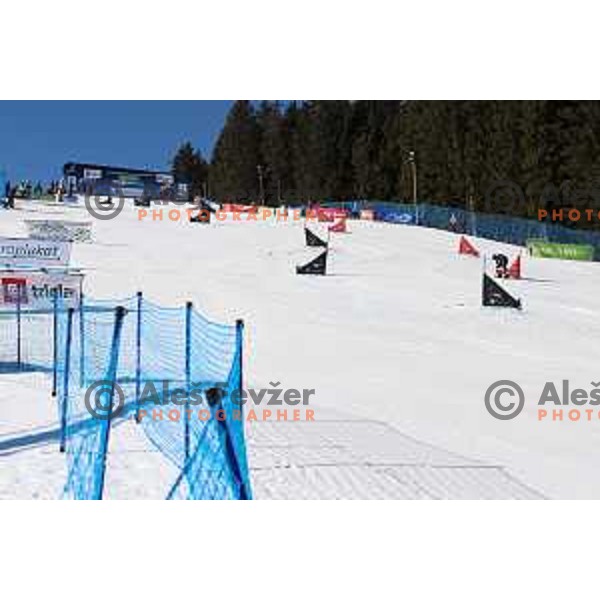 Snowboard World Championships in Parallel Slalom at Rogla Ski resort, Slovenia on March 2, 2021