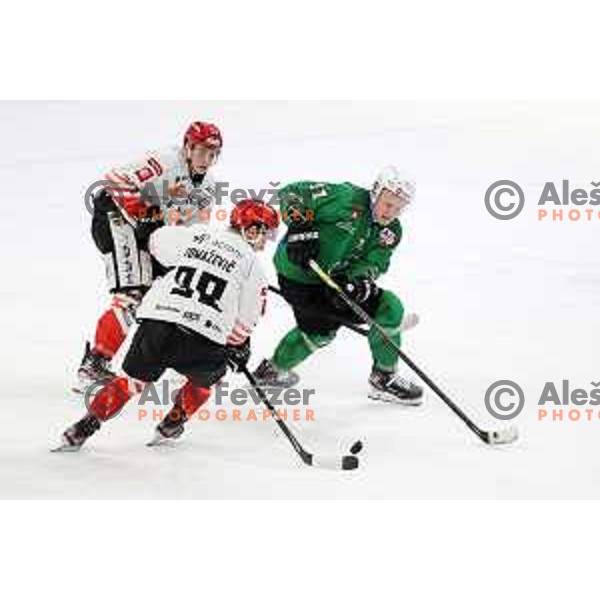 Blaz Tomazevic and Juuso Puuli in action during Alps league ice-hockey match between SZ Olimpija and Acroni Jesenice in Ljubljana, Slovenia on March 3, 2021