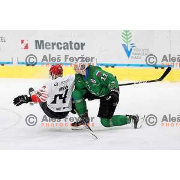 Andrej Hebar and Juuso Puuli in action during Alps league ice-hockey match between SZ Olimpija and Acroni Jesenice in Ljubljana, Slovenia on March 3, 2021