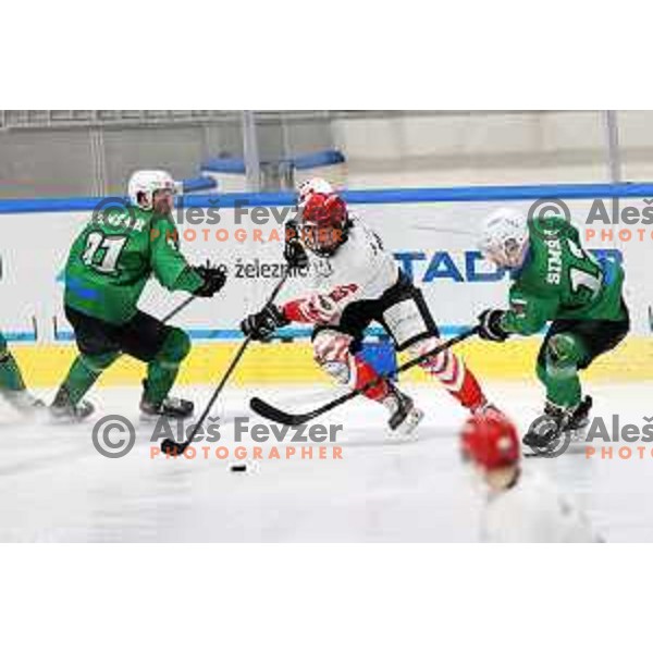 In action during Alps league ice-hockey match between SZ Olimpija and Acroni Jesenice in Ljubljana, Slovenia on March 3, 2021