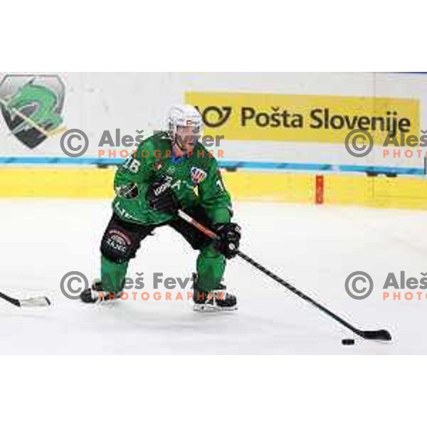 Ales Music in action during Alps league ice-hockey match between SZ Olimpija and Acroni Jesenice in Ljubljana, Slovenia on March 3, 2021