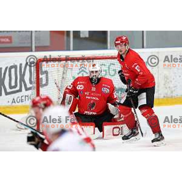 Zan Us in action during Alps league ice-hockey match between Acroni Jesenice and SZ Olimpija in Jesenice, Slovenia on March 9, 2021