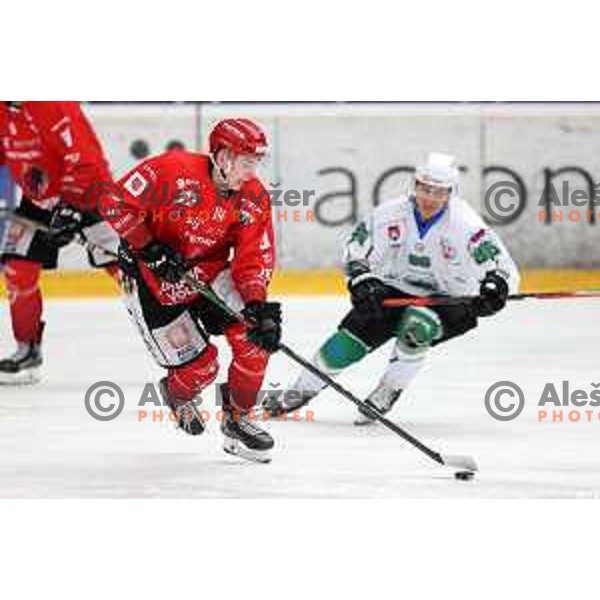 Bine Masic in action during Alps league ice-hockey match between Acroni Jesenice and SZ Olimpija in Jesenice, Slovenia on March 9, 2021