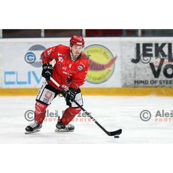 Patrik Rajsar in action during Alps league ice-hockey match between Acroni Jesenice and SZ Olimpija in Jesenice, Slovenia on March 9, 2021