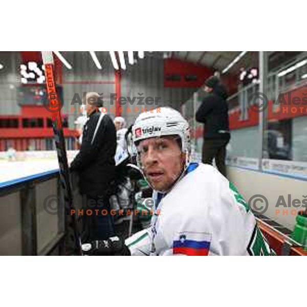 Ales Music during Alps league ice-hockey match between Acroni Jesenice and SZ Olimpija in Jesenice, Slovenia on March 9, 2021