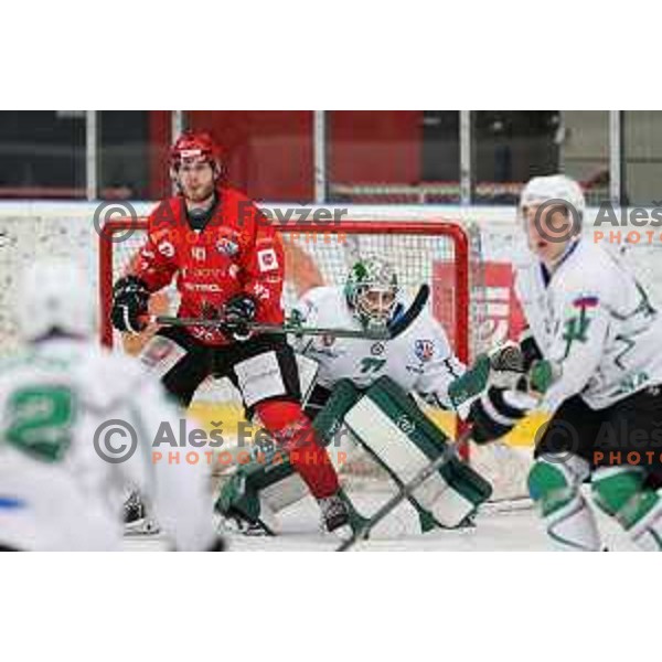 Gasper Glavic and Paavo Holsa in action during Alps league ice-hockey match between Acroni Jesenice and SZ Olimpija in Jesenice, Slovenia on March 9, 2021