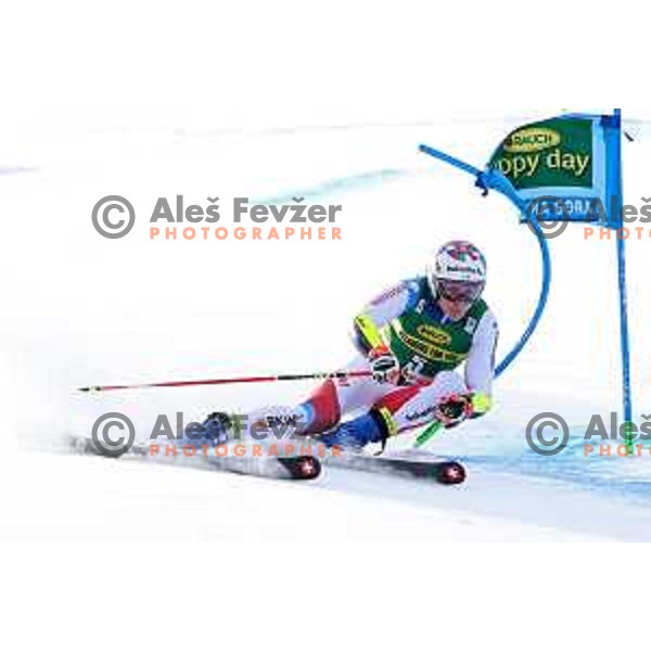 Marco Odermatt, winner of AUDI FIS World Cup Giant Slalom for Vitranc Cup in Kranjska gora, Slovenia on March 13, 2021