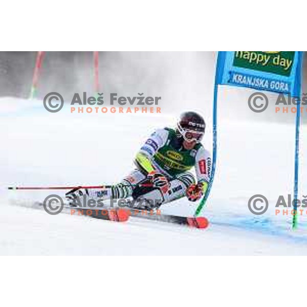 Zan Kranjec (SLO) racing in the first run of AUDI FIS World Cup Giant Slalom for Vitranc Cup in Kranjska gora, Slovenia on March 13, 2021