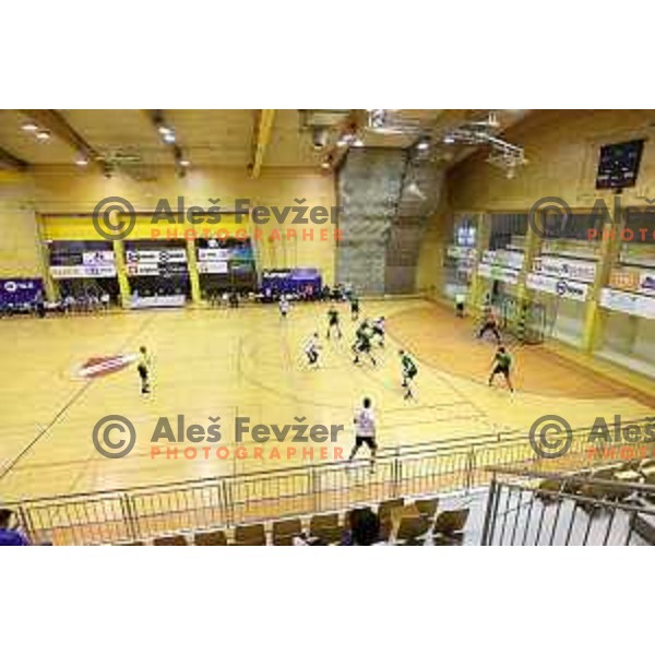 Action during 1.NLB league match between Riko Ribnica and Celje Pivovarna Lasko in Ribnica on on March 20, 2021