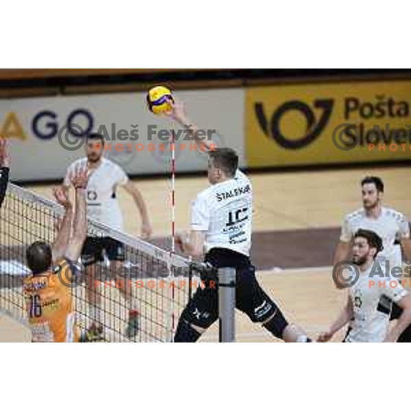 Saso Stalekar in action during 1.DOL league match between ACH Volley and Calcit Kamnik in Ljubljana, Slovenia on March 20, 2021