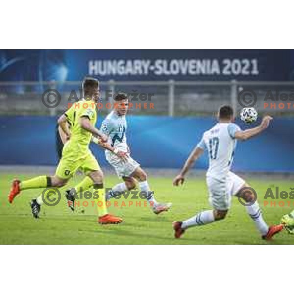 in action during U21 UEFA European Championship 2021 football match between Slovenia and Czech Republic in Arena Z’dezele, Celje, Slovenia on March 27, 2021