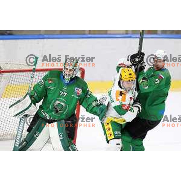 Paavo Holsa and Luka Zorko in action during first match of the semi-final of Alps league between SZ Olimpija and Lustenau in Ljubljana, Slovenia on April 8, 2021