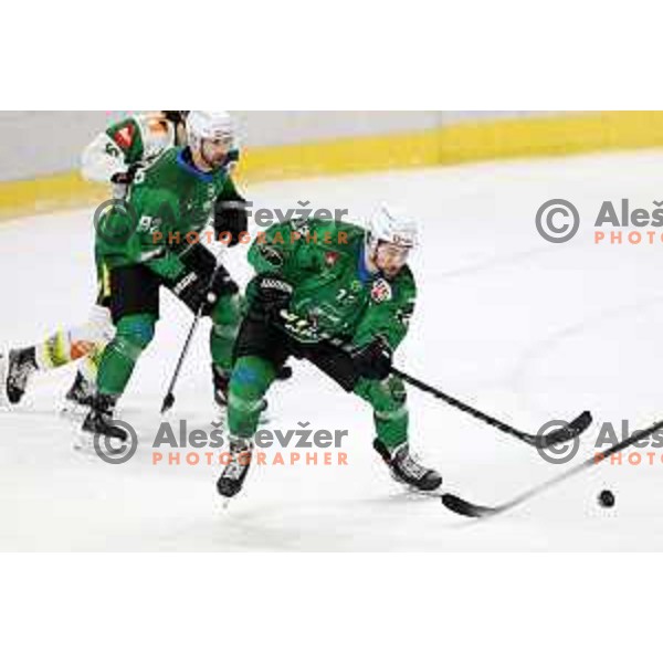 Nik Simsic action during first match of the semi-final of Alps league between SZ Olimpija and Lustenau in Ljubljana, Slovenia on April 8, 2021