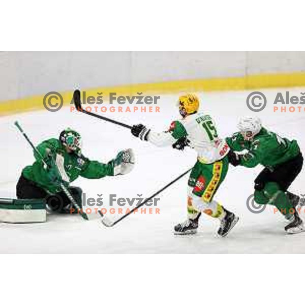 Christoper D\'Alvise in action during first match of the semi-final of Alps league between SZ Olimpija and Lustenau in Ljubljana, Slovenia on April 8, 2021