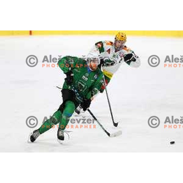 Miha Zajc In action during first match of the semi-final of Alps league between SZ Olimpija and Lustenau in Ljubljana, Slovenia on April 8, 2021