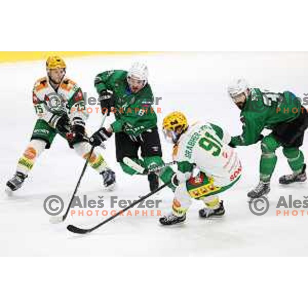 Marc Oliver Vallerand and Ziga Pesut in action during first match of the semi-final of Alps league between SZ Olimpija and Lustenau in Ljubljana, Slovenia on April 8, 2021