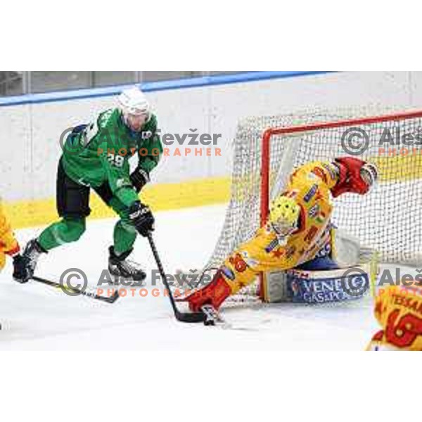Anze Ropret in action during the Final of Alps league ice-hockey match between SZ Olimpija and Asiago in Ljubljana, Slovenia on April 20, 2021
