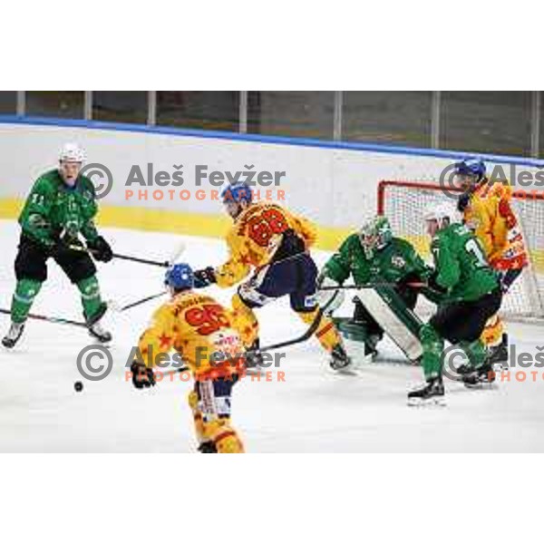 Paavo Holsa in action during the Final of Alps league ice-hockey match between SZ Olimpija and Asiago in Ljubljana, Slovenia on April 20, 2021
