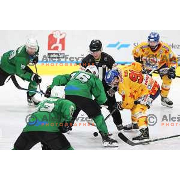 In action during the Final of Alps league ice-hockey match between SZ Olimpija and Asiago in Ljubljana, Slovenia on April 20, 2021