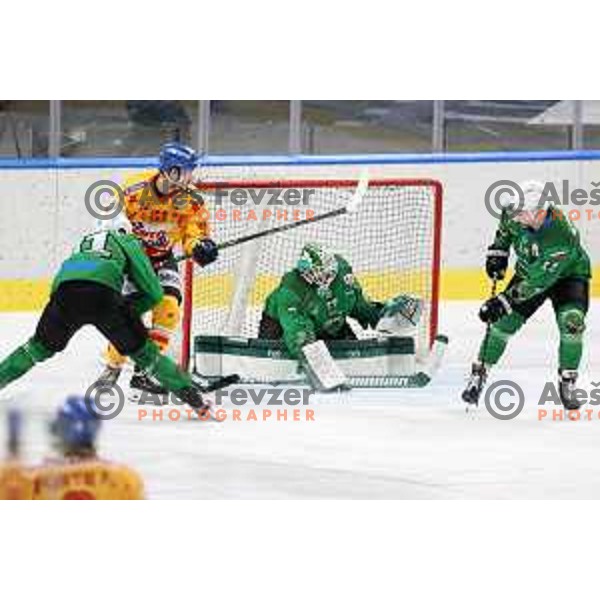 Nik Simsic in action during the Final of Alps league ice-hockey match between SZ Olimpija and Asiago in Ljubljana, Slovenia on April 20, 2021