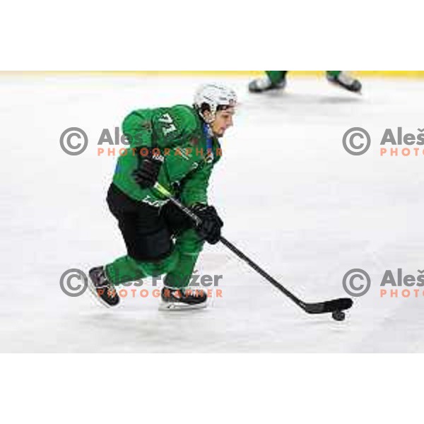 Nejc Brus in action during the Final of Alps league ice-hockey match between SZ Olimpija and Asiago in Ljubljana, Slovenia on April 20, 2021