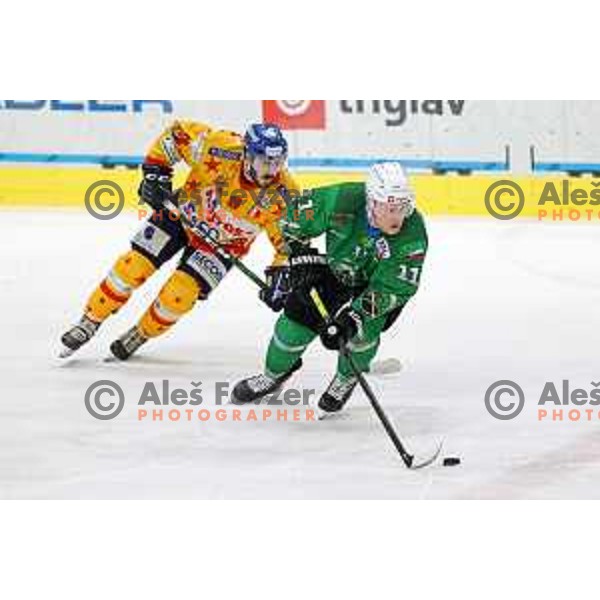 Juuso Pulli in action during the Final of Alps league ice-hockey match between SZ Olimpija and Asiago in Ljubljana, Slovenia on April 20, 2021