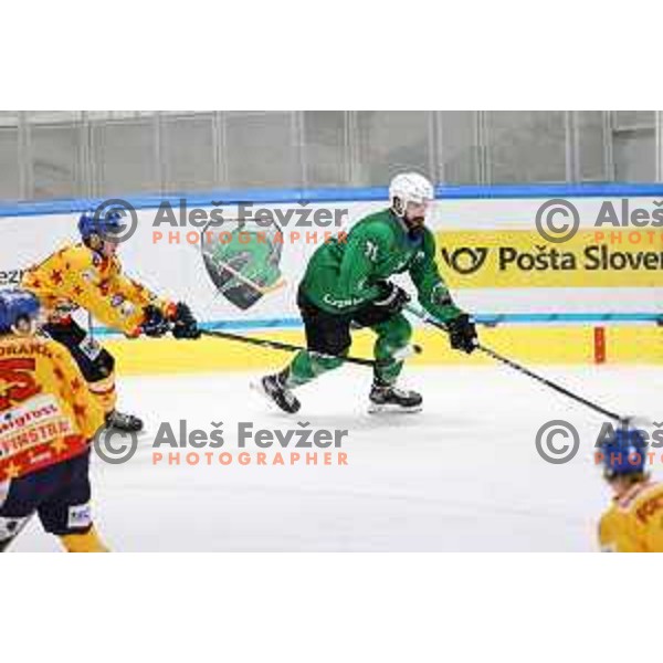 Ziga Pesut in action during the Final of Alps league ice-hockey match between SZ Olimpija and Asiago in Ljubljana, Slovenia on April 20, 2021