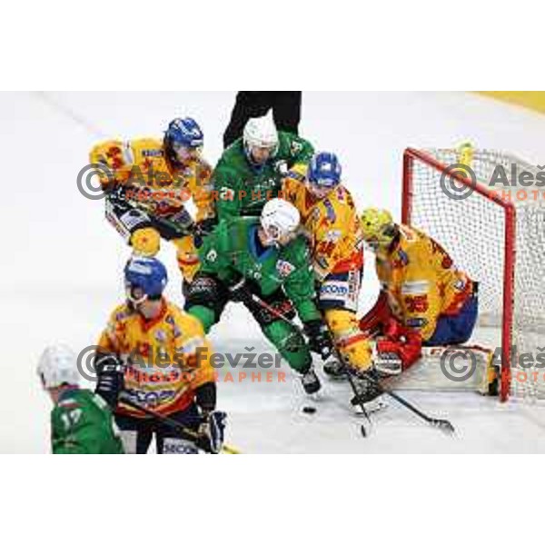 Ales Music and Gianluca Vallini in action during the Final of Alps league ice-hockey match between SZ Olimpija and Asiago in Ljubljana, Slovenia on April 20, 2021