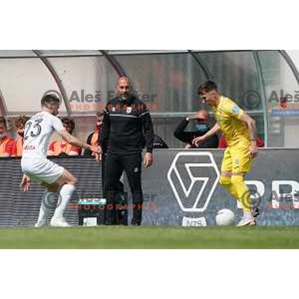 Head coach Igor Bozic in action during Prva Liga Telekom Slovenije 2020-2021 football match between Tabor CB 24 Sezana and Domzale in Sezana on May 1, 2021