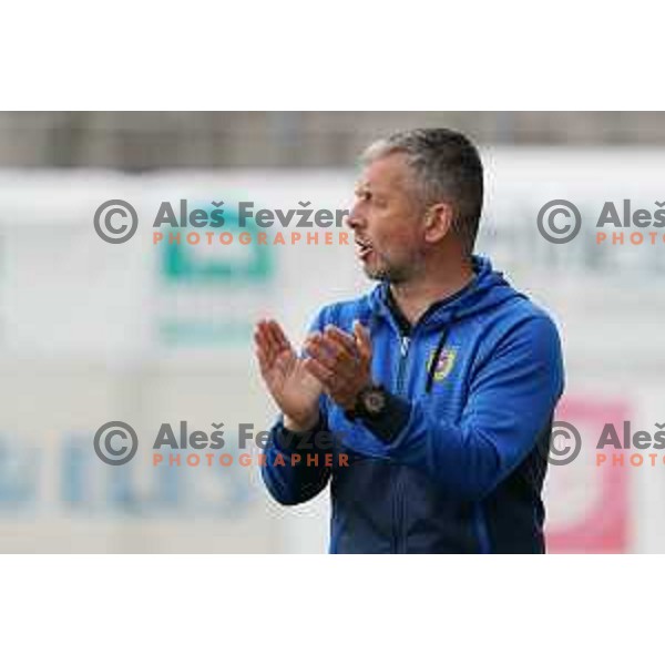Head coach Dejan Djuranovic in action during Prva Liga Telekom Slovenije 2020-2021 football match between Tabor CB 24 Sezana and Domzale in Sezana on May 1, 2021