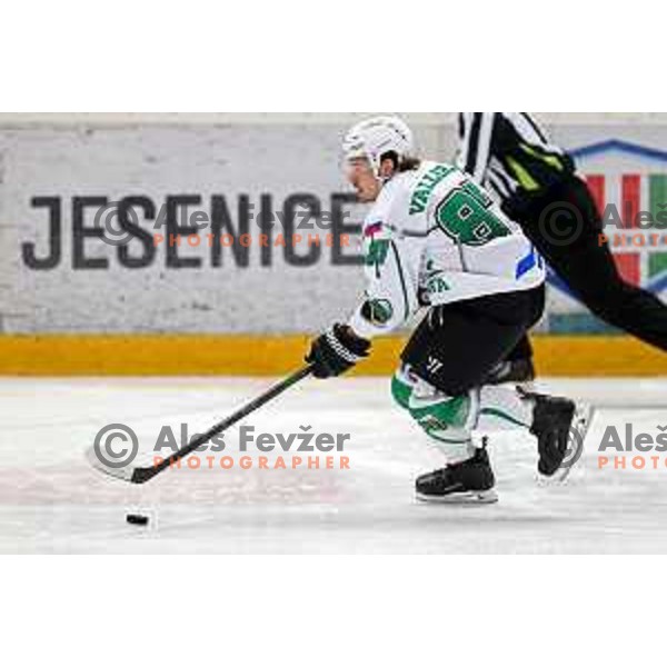 Marc Oliver Vallerand in action during second game of the Final of Slovenian Championship ice-hockey match between SIJ Acroni Jesenice and SZ Olimpija in Jesenice, Slovenia on May 3, 2021