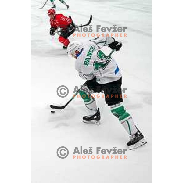 Ziga Pance in action during second game of the Final of Slovenian Championship ice-hockey match between SIJ Acroni Jesenice and SZ Olimpija in Jesenice, Slovenia on May 3, 2021